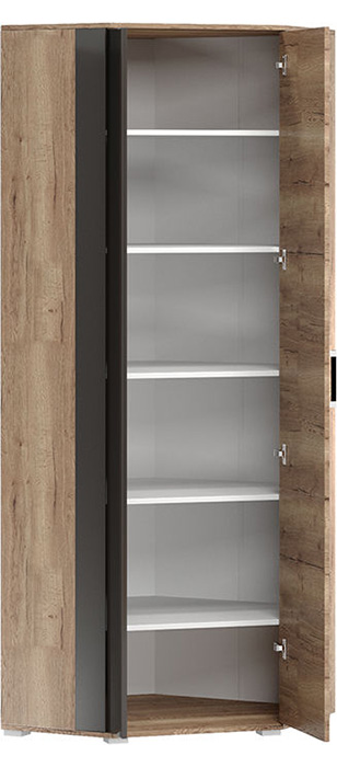 ���� �������