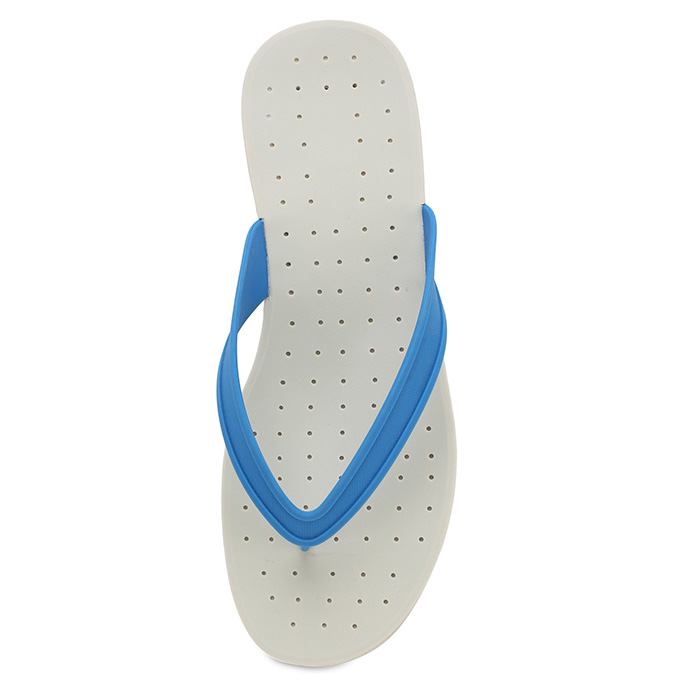 �������� ������� 41 �����